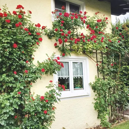 公寓 Prestige-apartment-chiemsee *