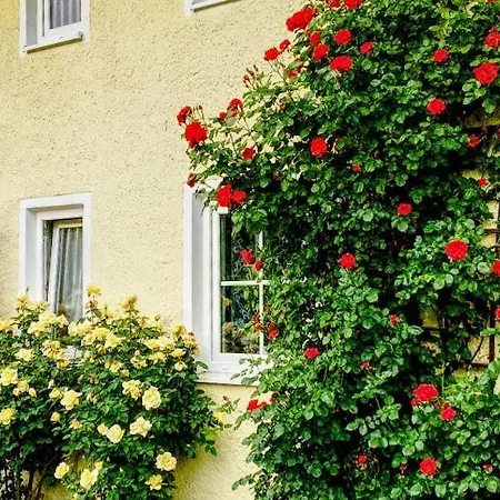Prestige-apartment-chiemsee